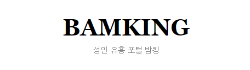 밤킹