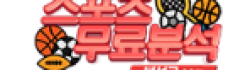 분석글