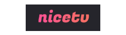 나이스티비