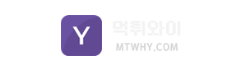 먹튀와이