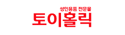 토이홀릭
