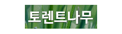 토렌트나무