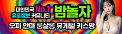 밤놀자