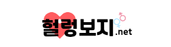 헐렁보지넷