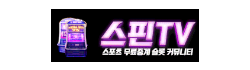 스핀티비