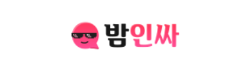 밤인싸