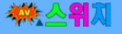 AV스위치